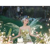 W29220-XL-Sheer Glitter Fairy Wing